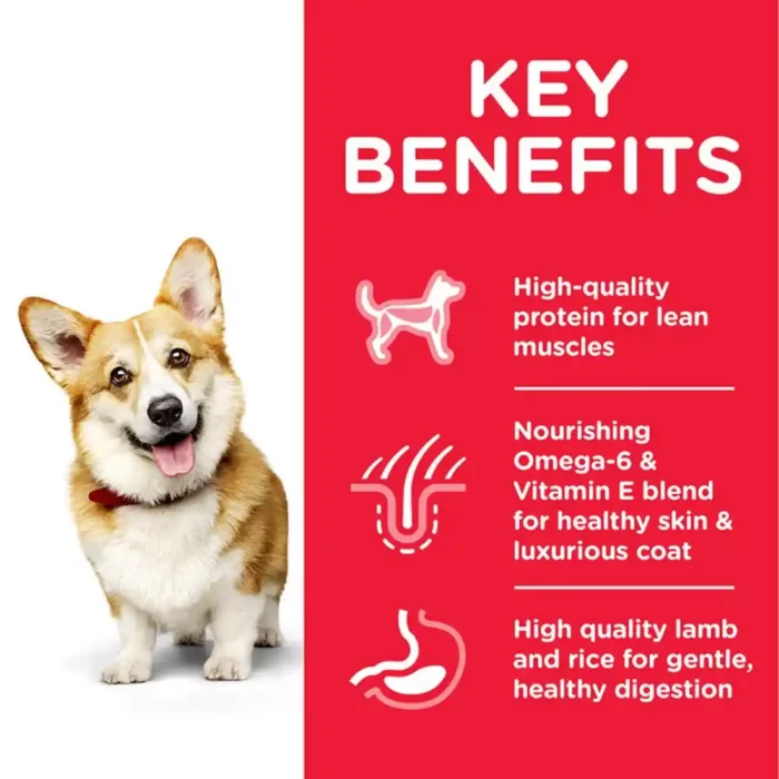 hills-science-plan-small-mini-adult-dry-dog-food-lamb-key-benefits hills-science-plan-small-mini-adult-dry-dog-food-lamb-key-benefits