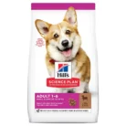 Hill’s Science Plan Small & Mini Adult Dry Dog Food Lamb