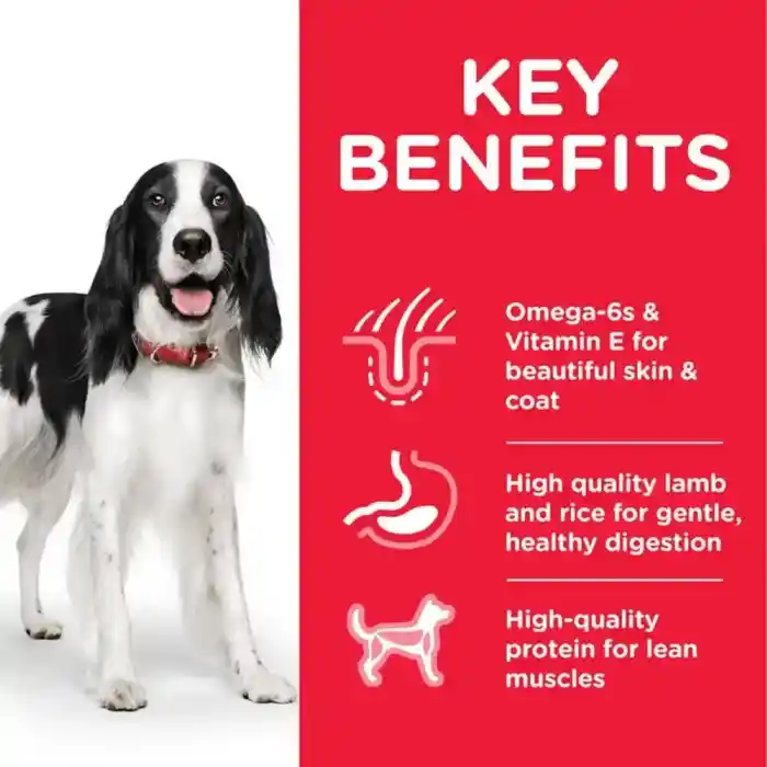 hills-science-plan-adult-lamb-rice-dry-dog-food-lamb-key-benefits hills-science-plan-adult-lamb-rice-dry-dog-food-lamb-key-benefits