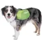 outward-hound-daypak-saddleback-dog-backpack-green-border-collie