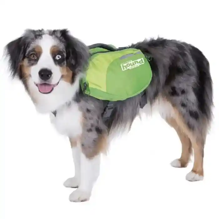 outward-hound-daypak-saddleback-dog-backpack-green-border-collie outward-hound-daypak-saddleback-dog-backpack-green-border-collie
