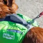 outward-hound-daypak-saddleback-dog-backpack-green-labrador-carrier
