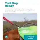 outward-hound-daypak-saddleback-dog-backpack-green-leash-clip
