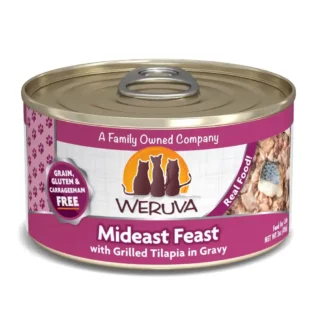 WECMIDEASTF156G-1.webp