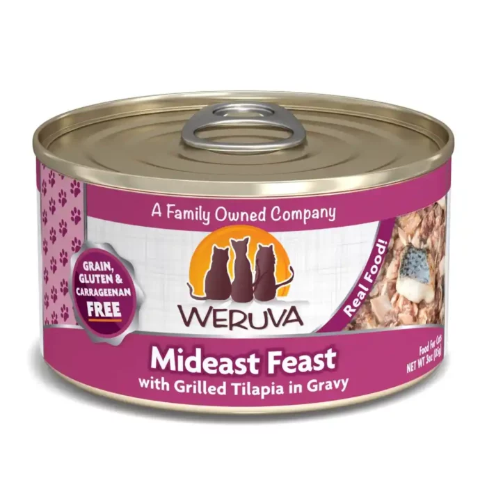 WECMIDEASTF156G-1.webp WECMIDEASTF156G-1.webp