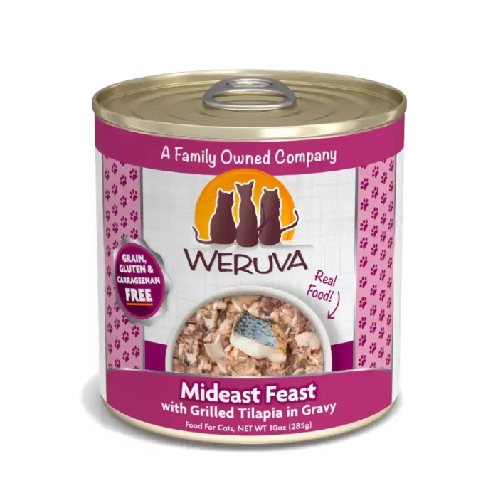 WECMIDEASTF285G-1.webp WECMIDEASTF285G-1.webp