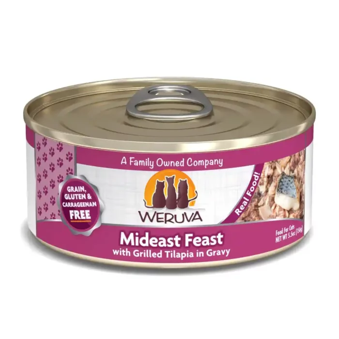 WECMIDEASTF85G-1.webp