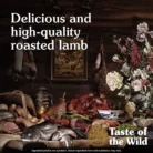 buy-taste-of-the-wild-canine-sierra-mountain-dry-food-online_3-1.webp