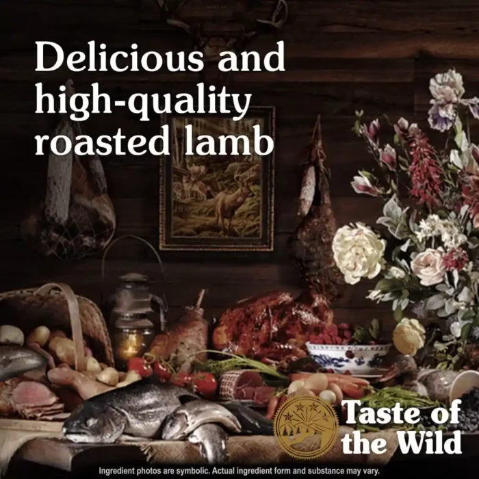 buy-taste-of-the-wild-canine-sierra-mountain-dry-food-online_3-1.webp buy-taste-of-the-wild-canine-sierra-mountain-dry-food-online_3-1.webp