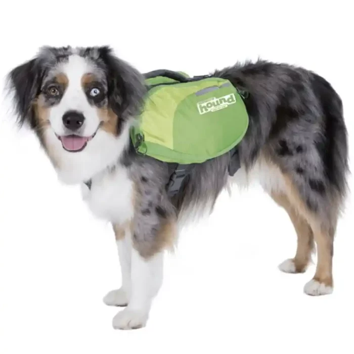 OH_DAYPAK_GREEN_MD.webp OH_DAYPAK_GREEN_MD.webp